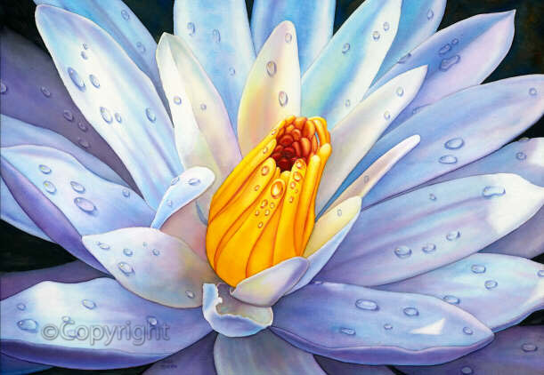 early morning shower