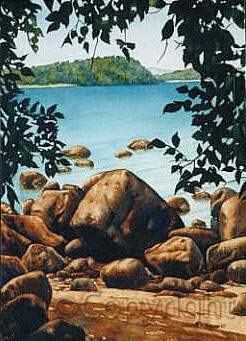 a break in the trees