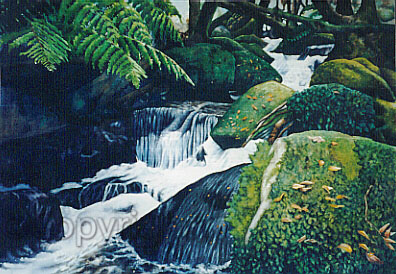 magnificent scenic walk