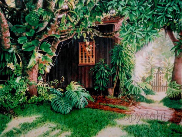 a shedfull of memories