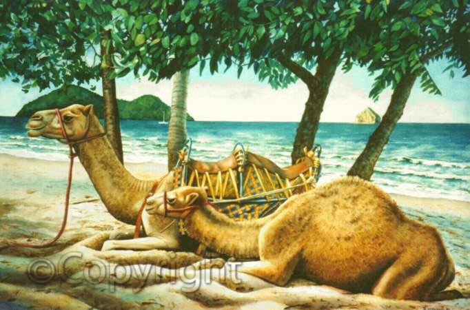 in praise of cooler sands