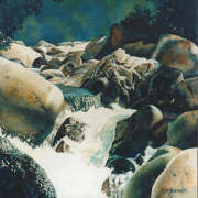 rapids - mossman gorge